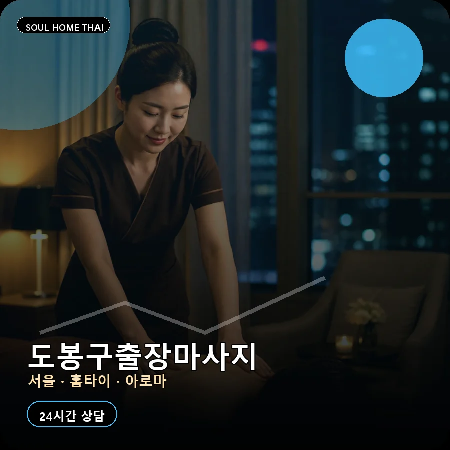 서울 도봉구출장마사지