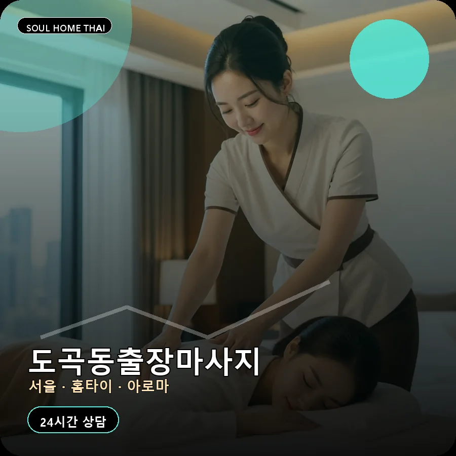 서울 강남구 도곡동출장마사지