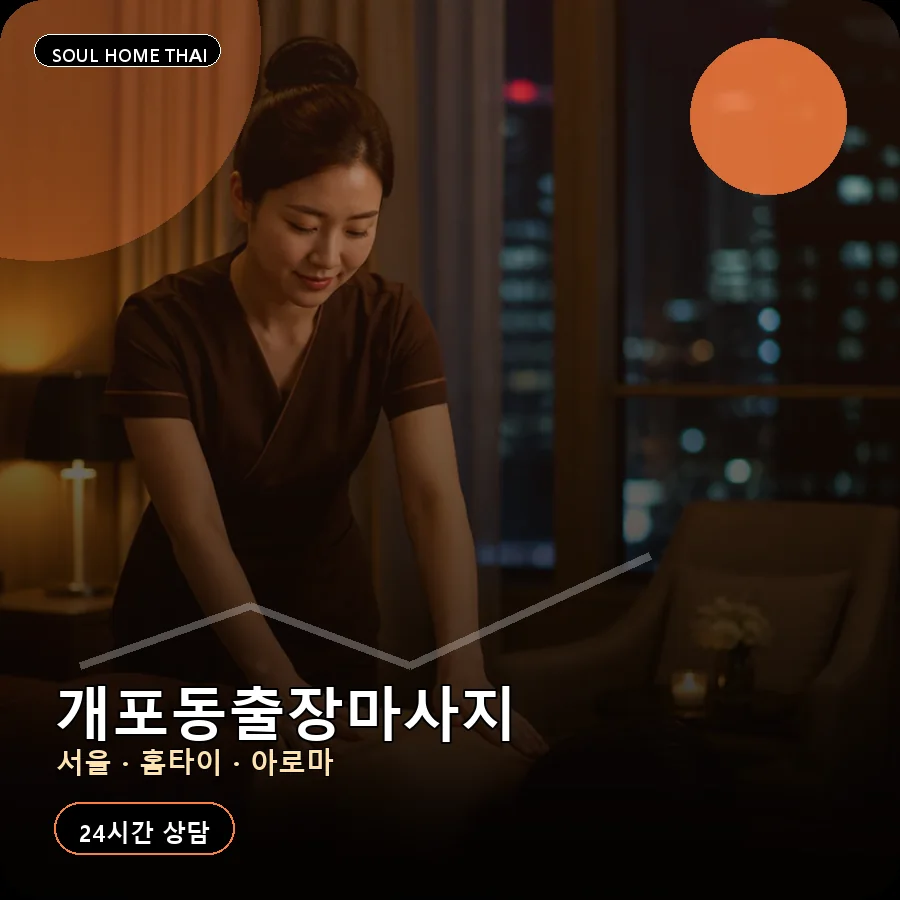 서울 강남구 개포동출장마사지