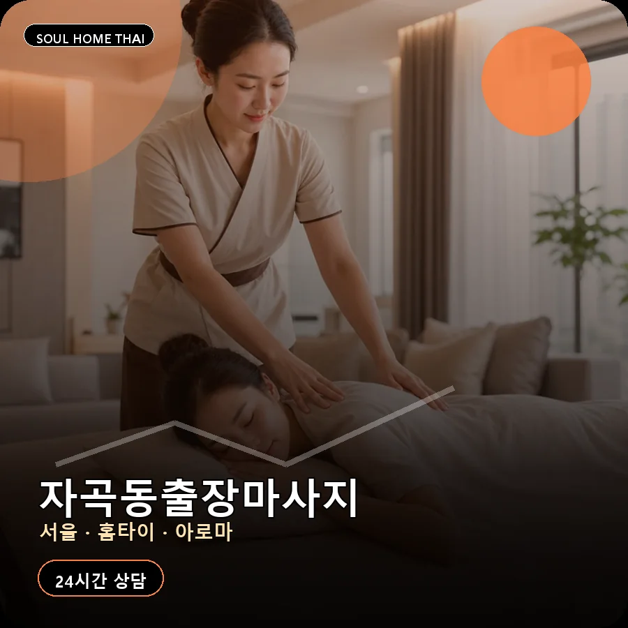 서울 강남구 자곡동출장마사지