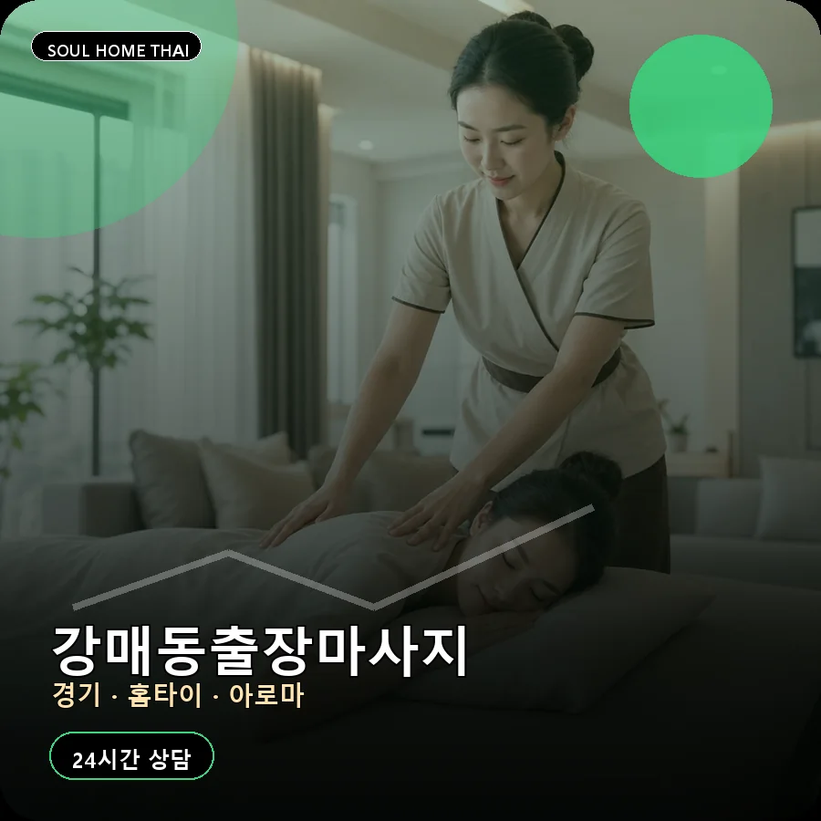 경기 고양시 강매동출장마사지