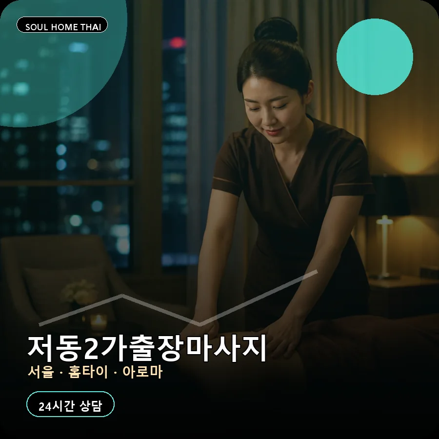서울 중구 저동2가출장마사지
