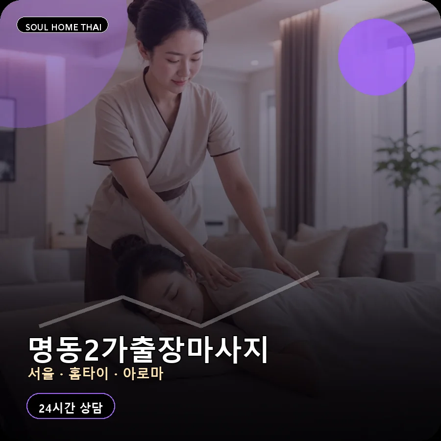 서울 중구 명동2가출장마사지