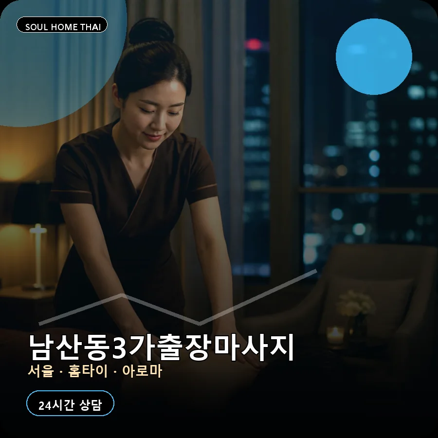 서울 중구 남산동3가출장마사지