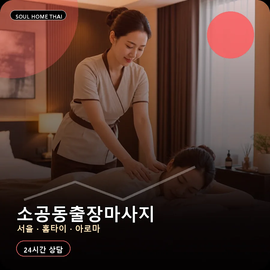 서울 중구 소공동출장마사지