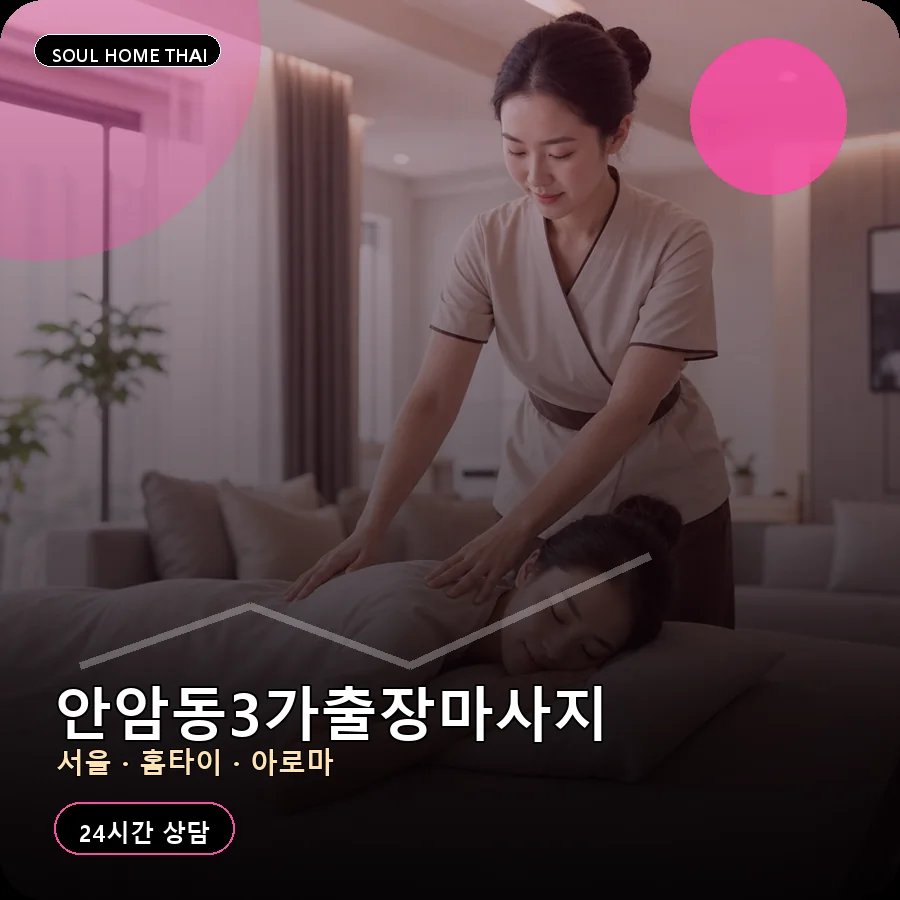 서울 성북구 안암동3가출장마사지