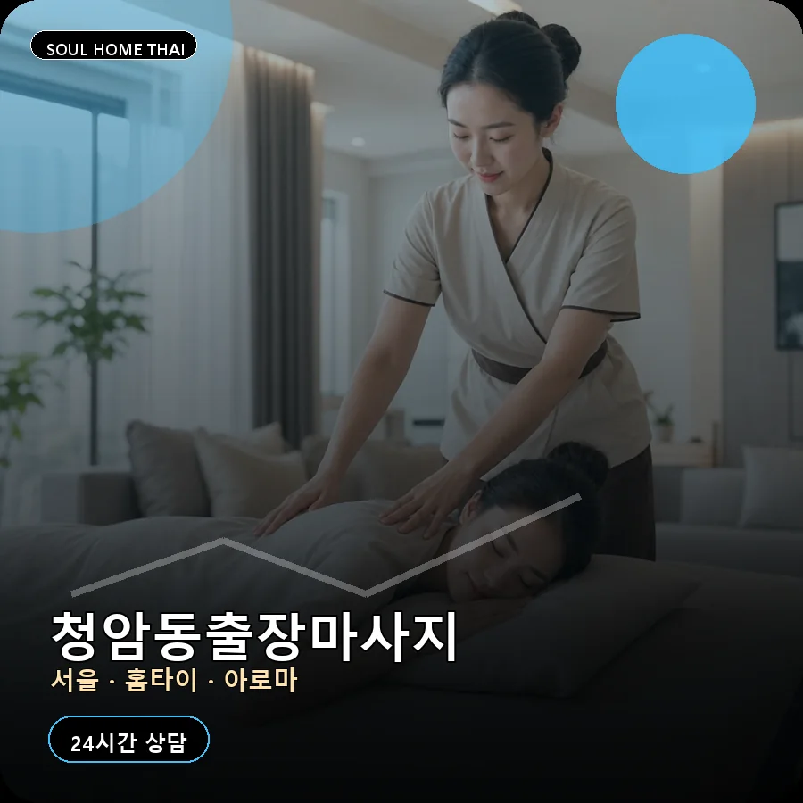 서울 용산구 청암동출장마사지