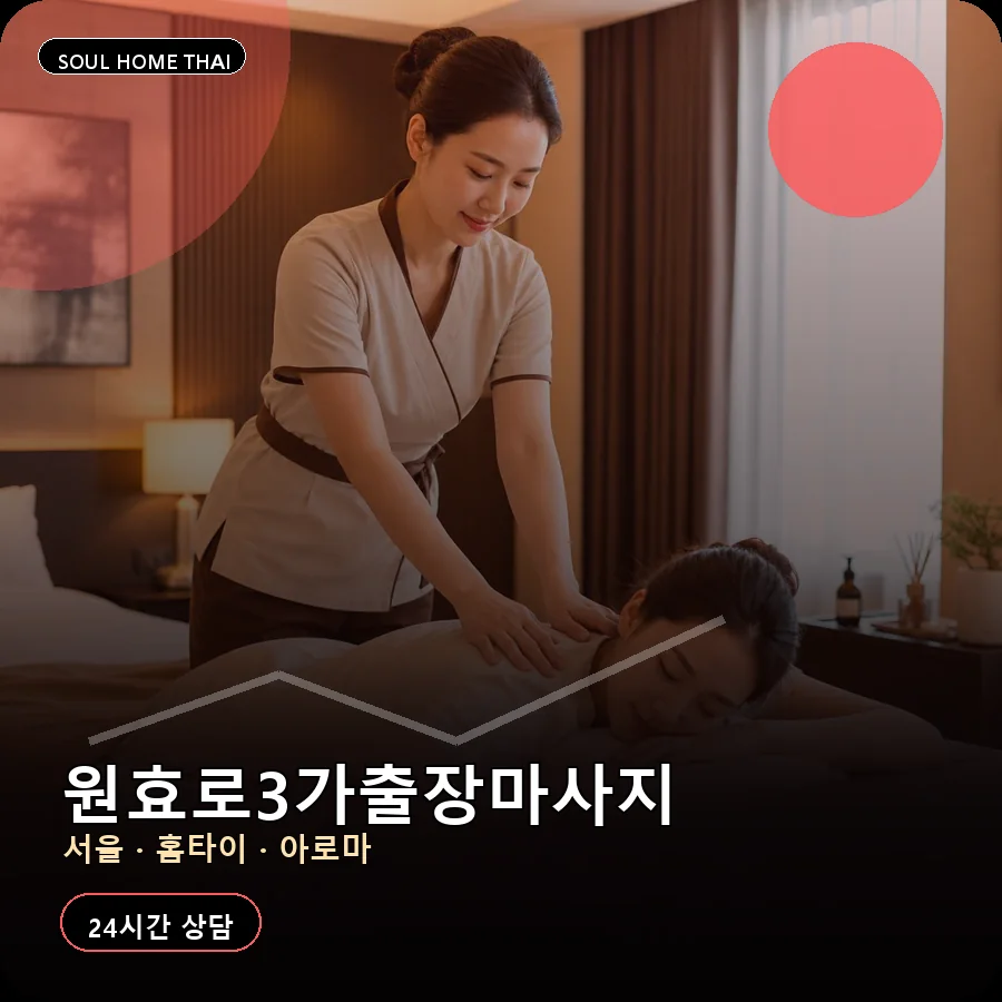 서울 용산구 원효로3가출장마사지